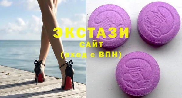 молекула духа Новозыбков