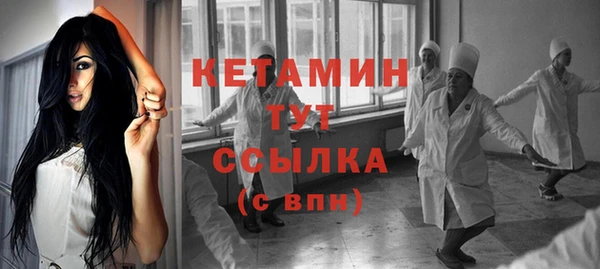 молекула духа Новозыбков