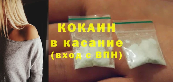 молекула духа Новозыбков