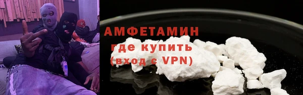 молекула духа Новозыбков