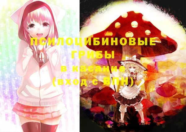 прущая мука Новодвинск