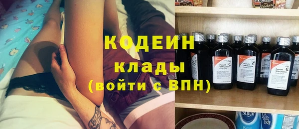 молекула духа Новозыбков