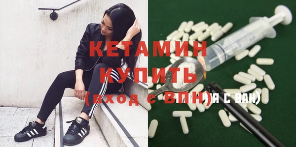 молекула духа Новозыбков