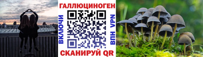 Псилоцибиновые грибы MAGIC MUSHROOMS  Оса 